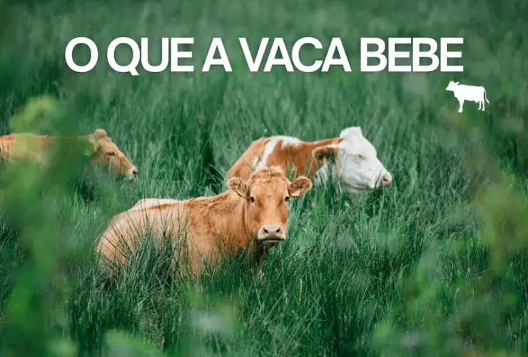 Green and White Simple Livestock Presentation