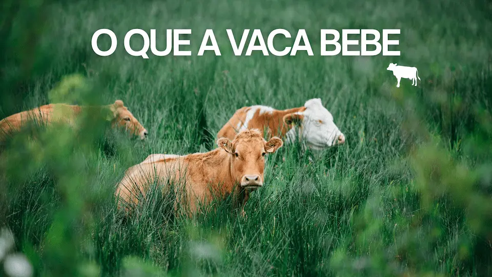 Green and White Simple Livestock Presentation