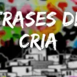 Post Instagram Dia da favela ousado colorido